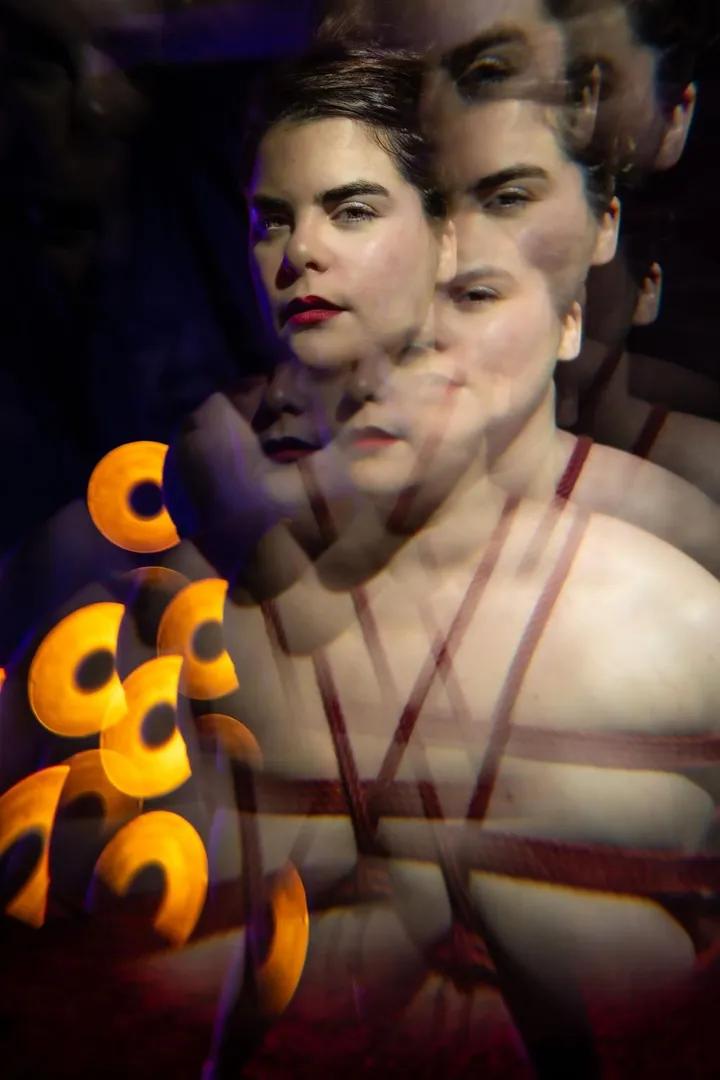 Artemismodel