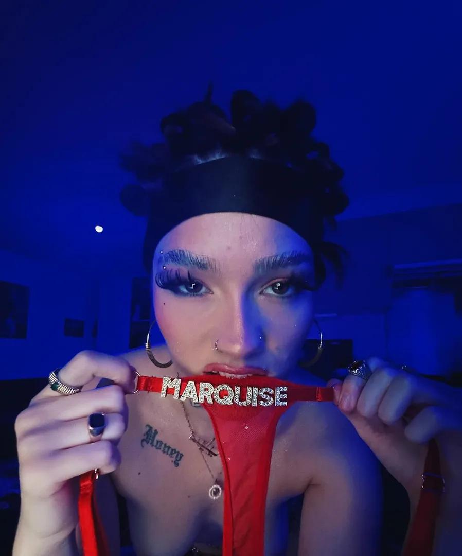 Avivalamarquise