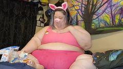Big fat piggy munching up some sugary slop