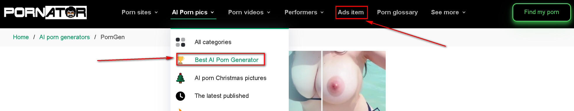Main navigation item